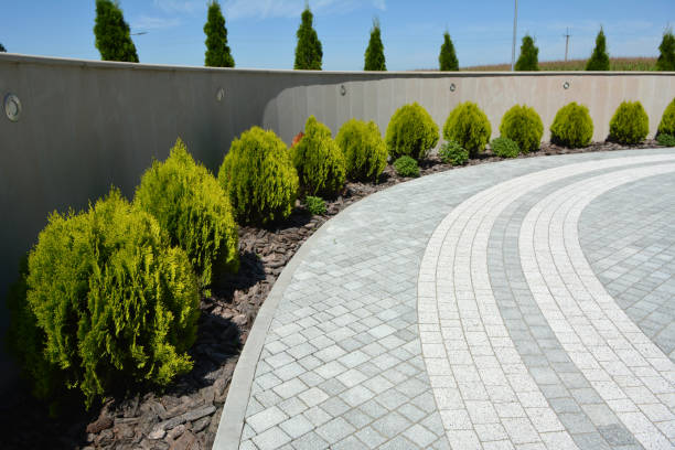 Reliable Park Hills, MO Driveway Pavers Solutions